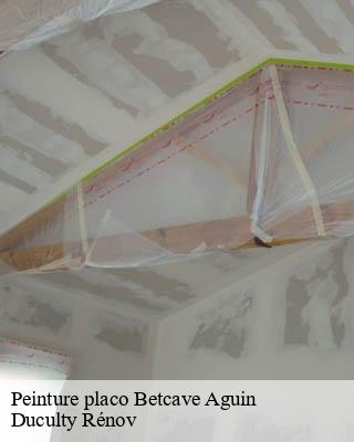 Peinture placo betcave-aguin-32420 Duculty Rénov