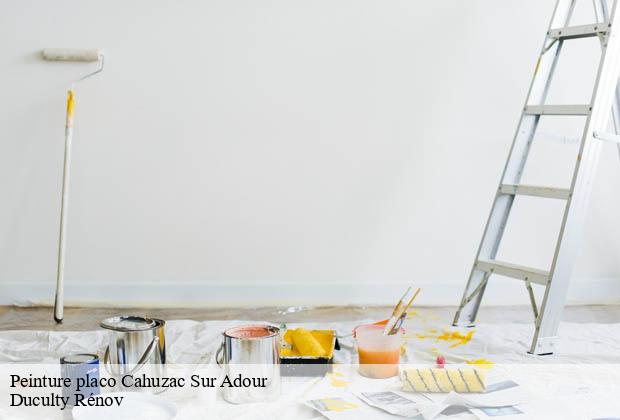 Peinture placo cahuzac-sur-adour-32400 Duculty Rénov
