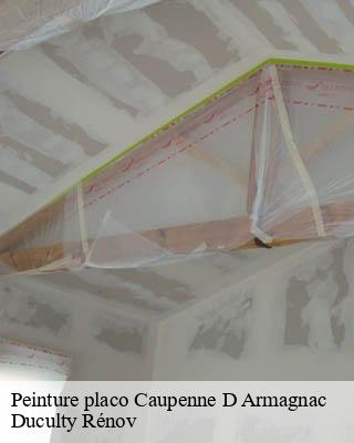 Peinture placo caupenne-d-armagnac-32110 Duculty Rénov