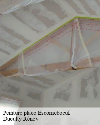 Peinture placo escorneboeuf-32200 Duculty Rénov