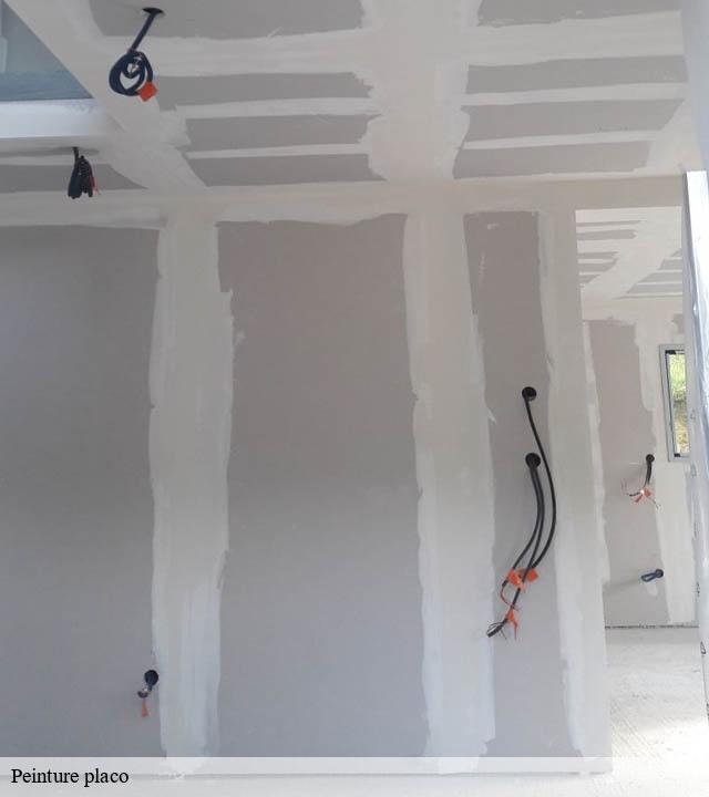 Peinture placo lasseran-32550 Duculty Rénov