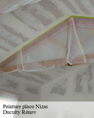 Peinture placo nizas-32130 Duculty Rénov