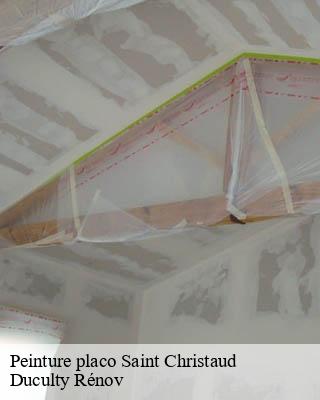 Peinture placo saint-christaud-32320 Duculty Rénov