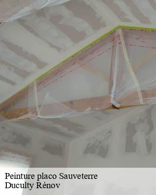 Peinture placo sauveterre-32220 Duculty Rénov