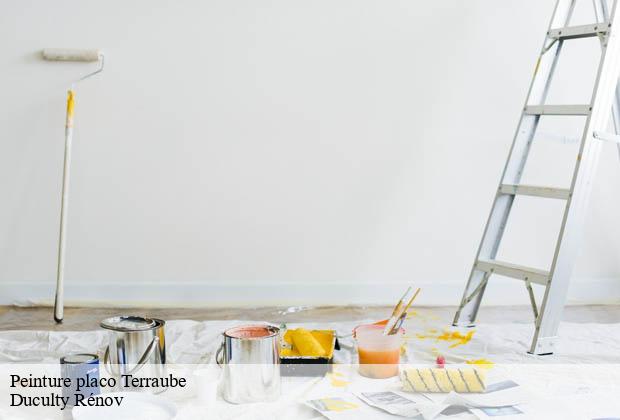 Peinture placo terraube-32700 Duculty Rénov