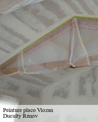 Peinture placo viozan-32300 Duculty Rénov