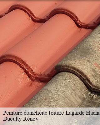 Peinture étanchéité toiture lagarde-hachan-32300 Duculty Rénov