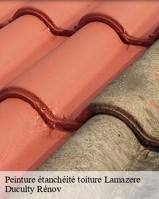Peinture étanchéité toiture lamazere-32300 Duculty Rénov