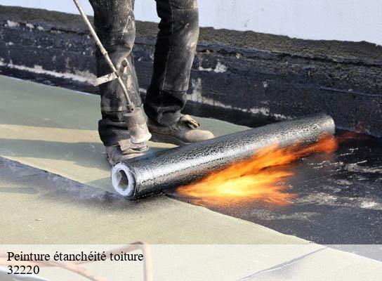Peinture étanchéité toiture lombez-32220 Duculty Rénov