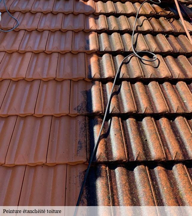 Peinture étanchéité toiture lombez-32220 Duculty Rénov