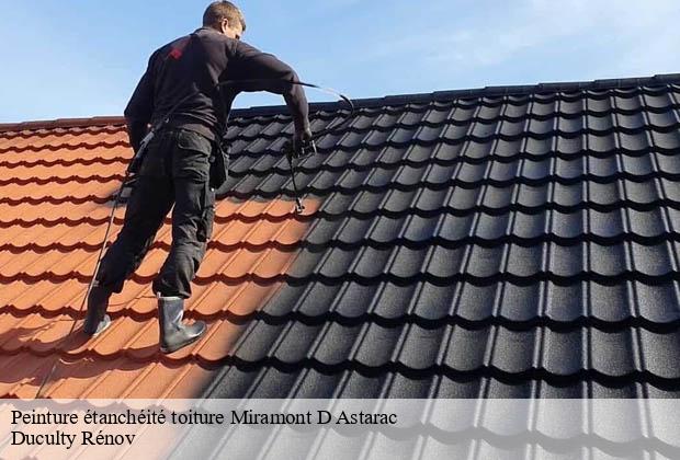 Peinture étanchéité toiture miramont-d-astarac-32300 Duculty Rénov