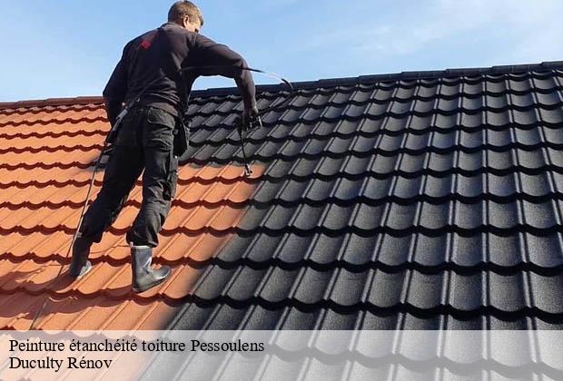 Peinture étanchéité toiture pessoulens-32380 Duculty Rénov