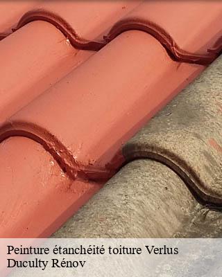 Peinture étanchéité toiture verlus-32400 Duculty Rénov