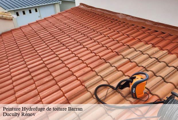 Peinture Hydrofuge de toiture barran-32350 Duculty Rénov