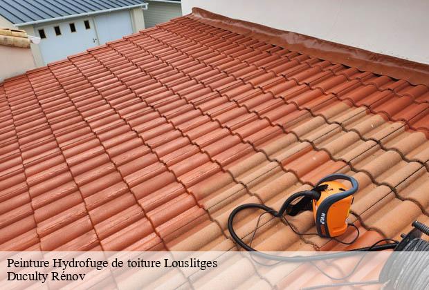 Peinture Hydrofuge de toiture louslitges-32230 Duculty Rénov