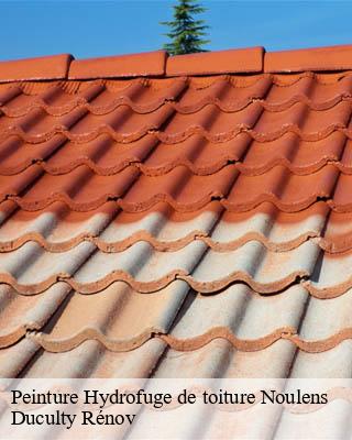 Peinture Hydrofuge de toiture noulens-32800 Duculty Rénov