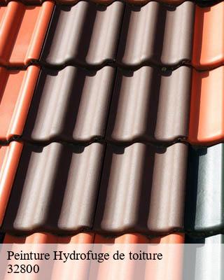 Peinture Hydrofuge de toiture noulens-32800 Duculty Rénov
