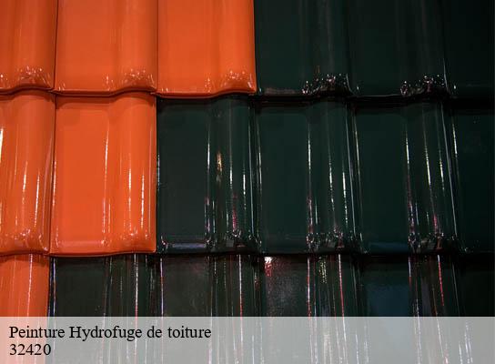 Peinture Hydrofuge de toiture pellefigue-32420 Duculty Rénov