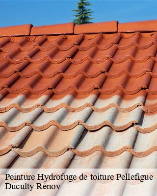 Peinture Hydrofuge de toiture pellefigue-32420 Duculty Rénov