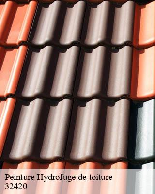 Peinture Hydrofuge de toiture pellefigue-32420 Duculty Rénov