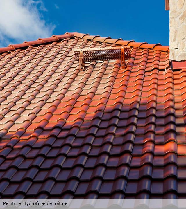 Peinture Hydrofuge de toiture traverseres-32450 Duculty Rénov