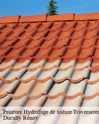 Peinture Hydrofuge de toiture traverseres-32450 Duculty Rénov
