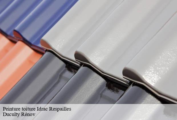 Peinture toiture idrac-respailles-32300 Duculty Rénov