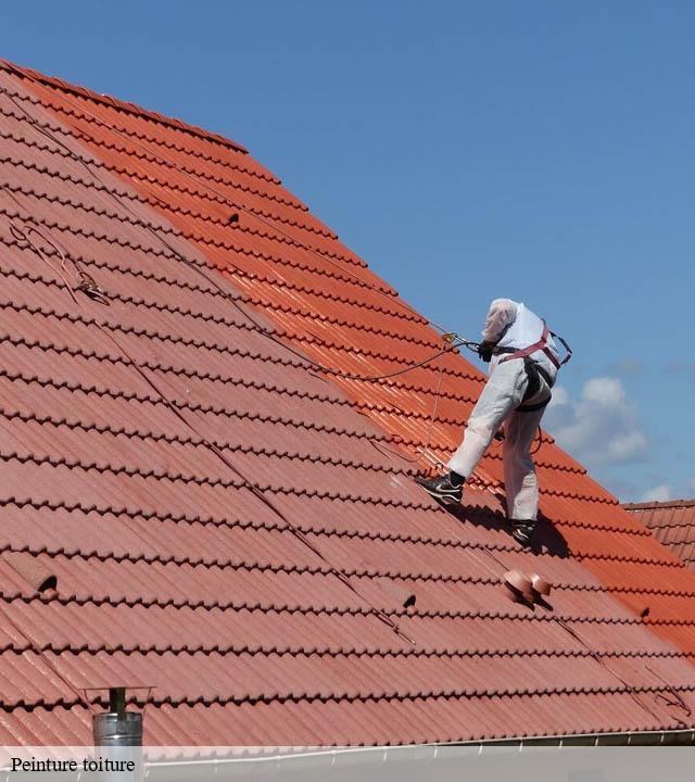 Peinture toiture monferran-saves-32490 Duculty Rénov