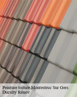 Peinture toiture montestruc-sur-gers-32390 Duculty Rénov