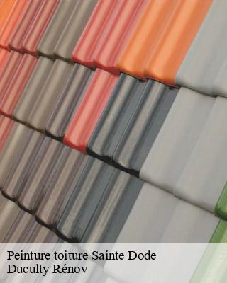Peinture toiture sainte-dode-32170 Duculty Rénov