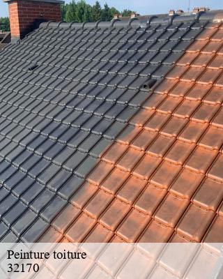 Peinture toiture sainte-dode-32170 Duculty Rénov