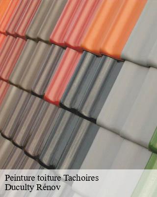 Peinture toiture tachoires-32260 Duculty Rénov
