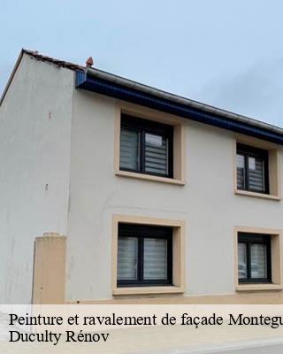 Peinture et ravalement de façade montegut-arros-32730 Duculty Rénov